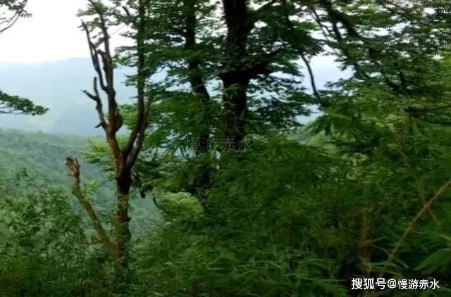 幽灵王营救