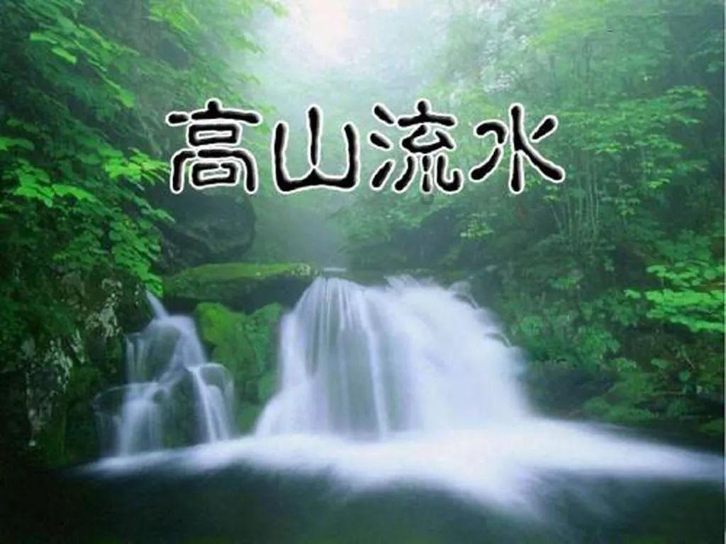 QQ企鹅